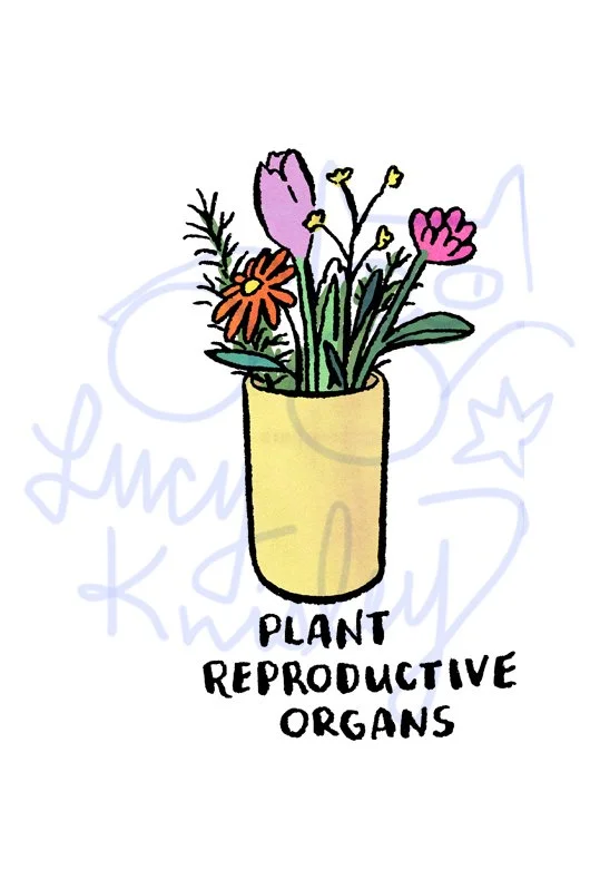 flowers.jpg