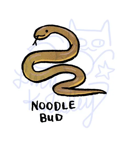 snake.jpg