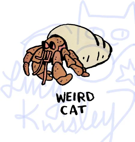 hermit crab.jpg