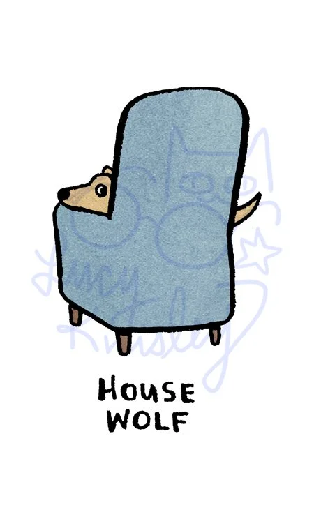 dog1.jpg