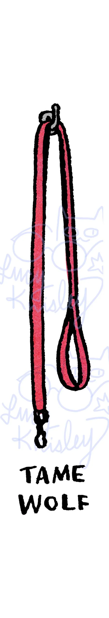 dog4.jpg
