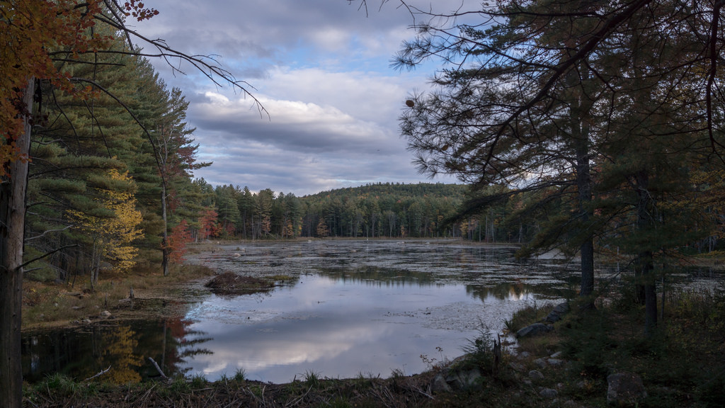 View from within Francis Grater’s land in Merrimack, now known as Grater Woods