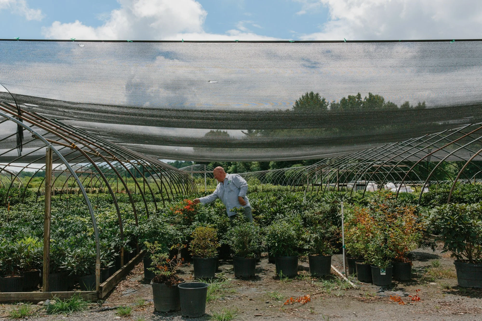 Fernbrook Farm 2024-68.jpg