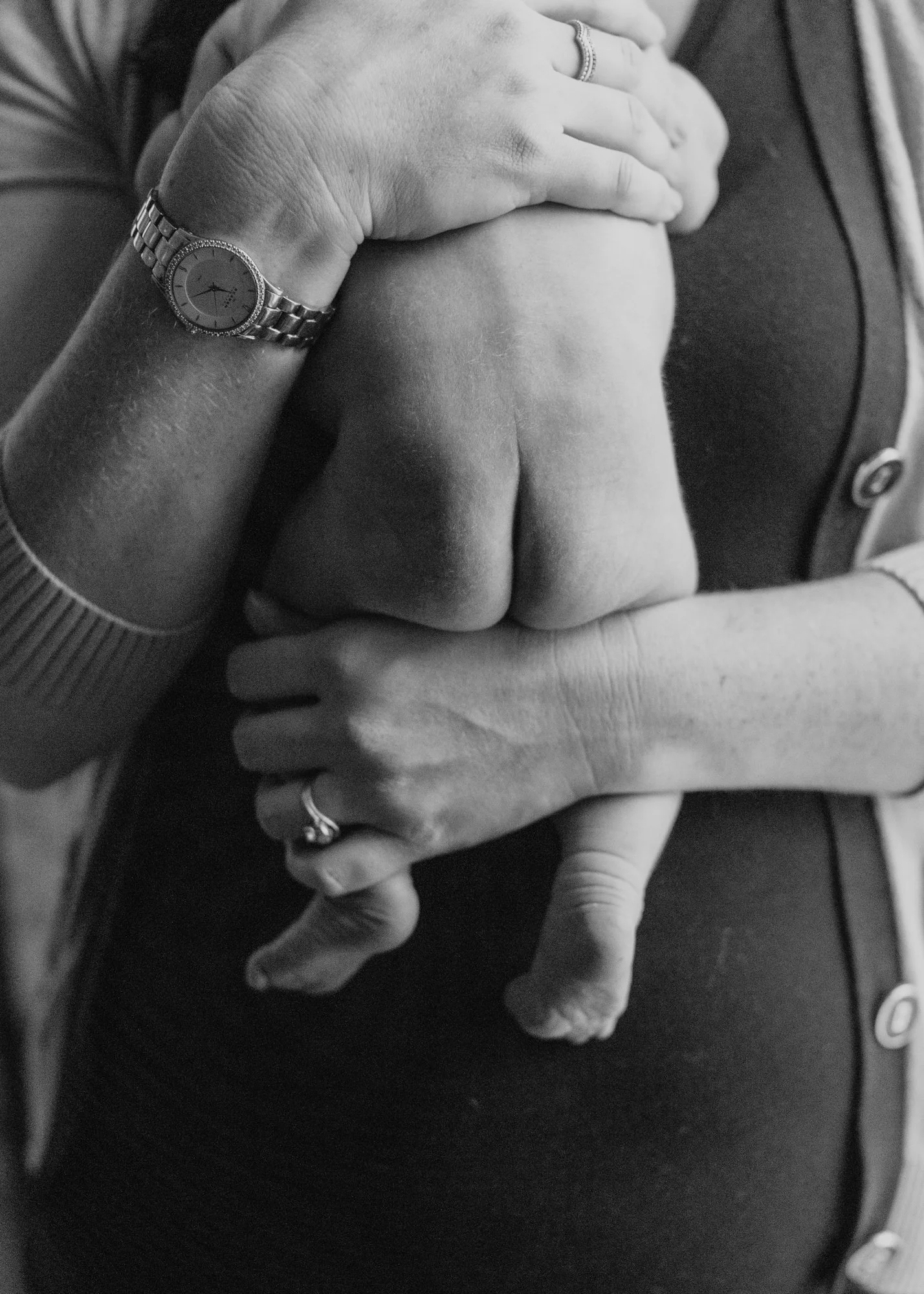 schaefer 111518-101.jpg