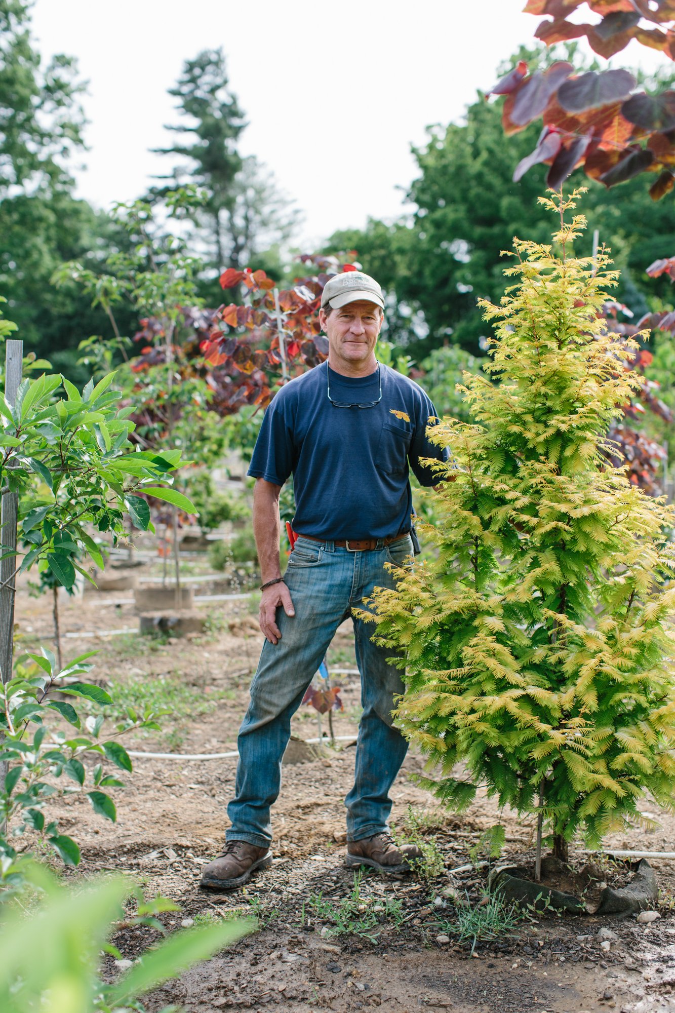 Sam Brown's Nursery-6.jpg