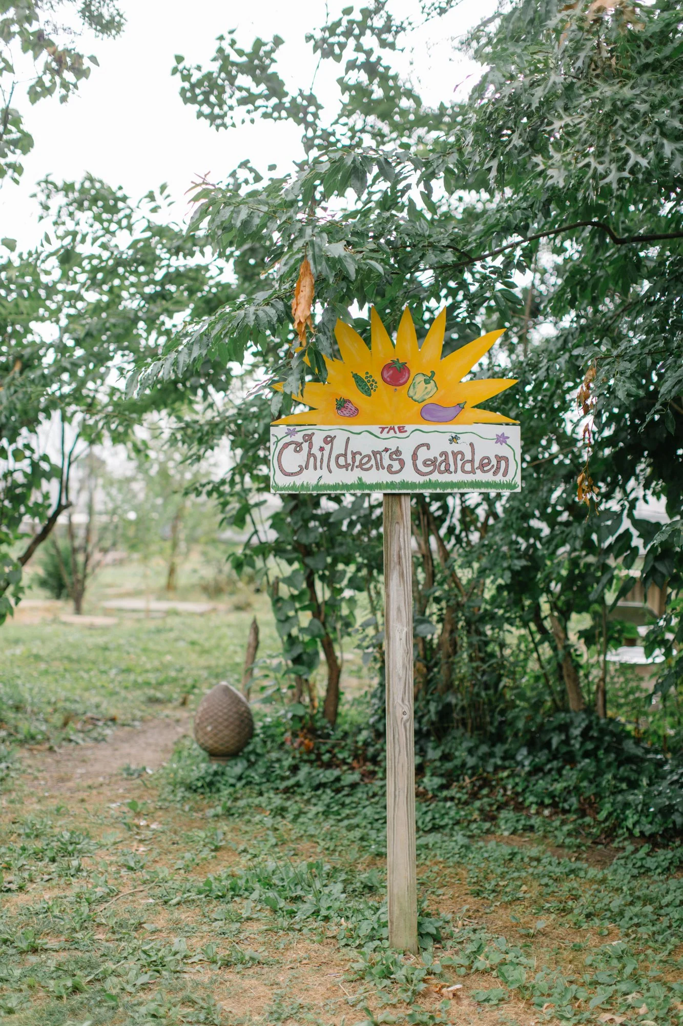 Fernbrook Farm 2024-30.jpg