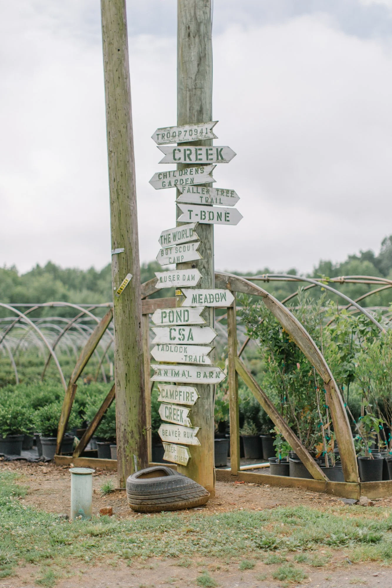 Fernbrook Farm 2024-22.jpg