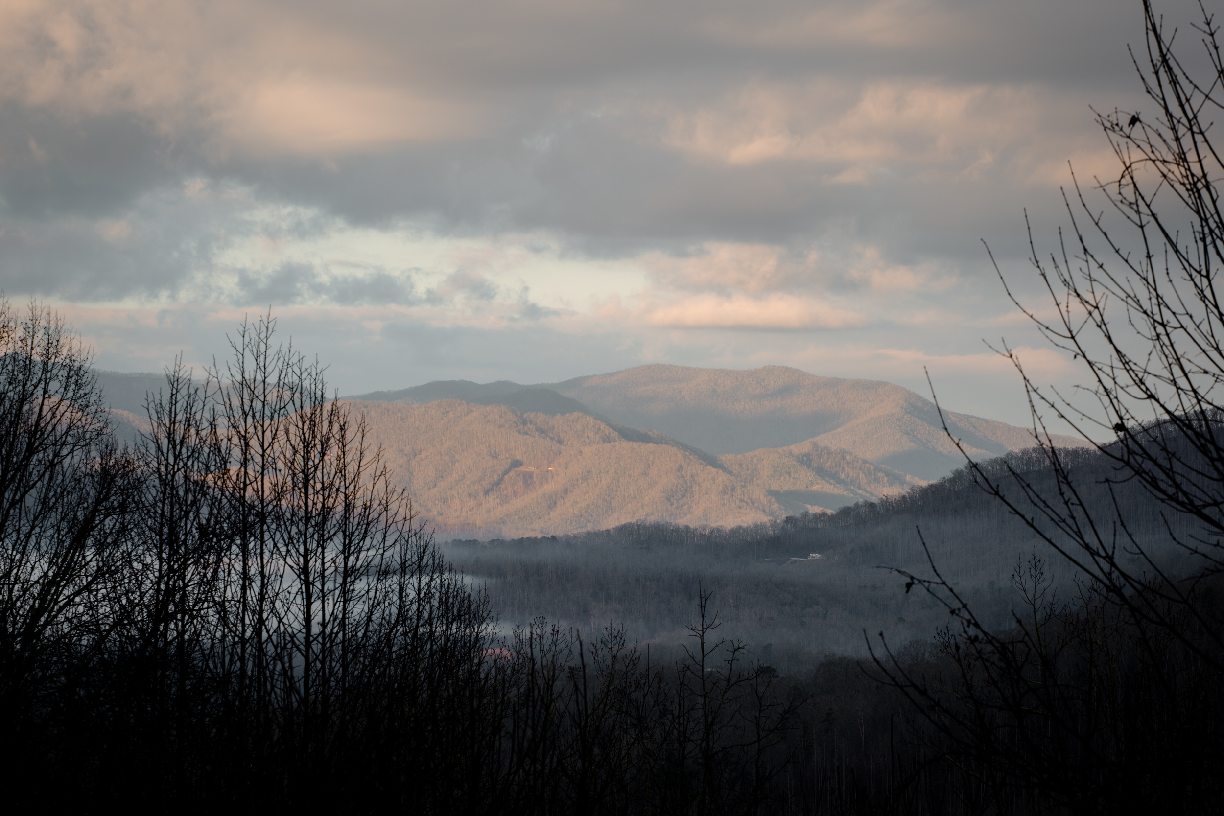 north_carolina_tinyx-8415.jpg