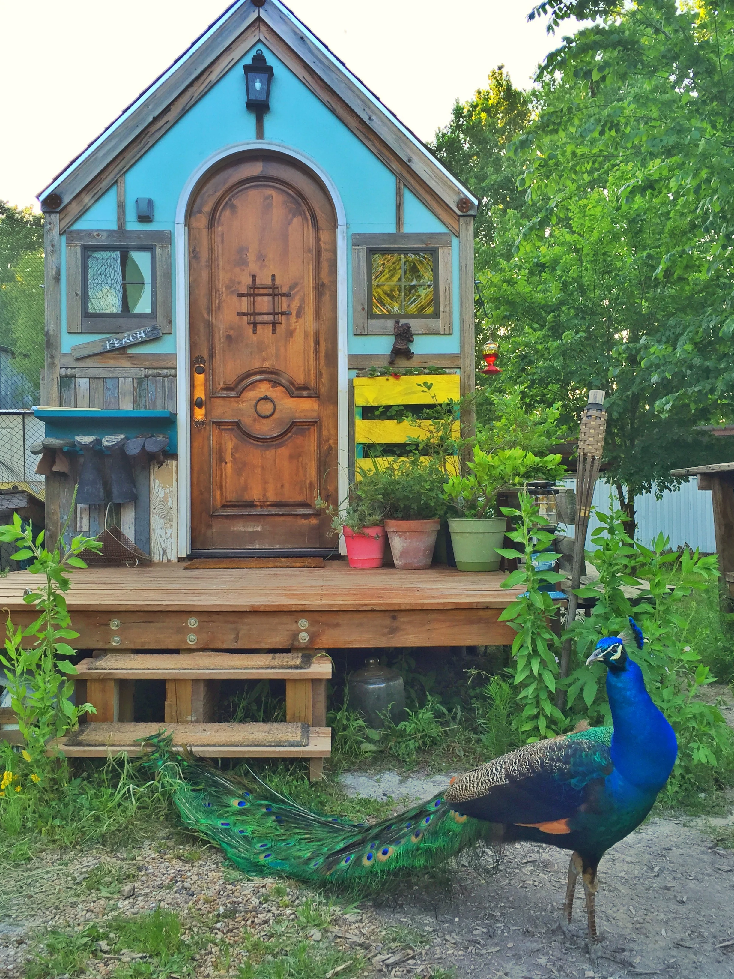 Some of Zack's handy work, As Featured on Tiny House Nation. 192 Sq. FT. Bird House, S2 E 6 , also known as The Window to the Wild tiny house 