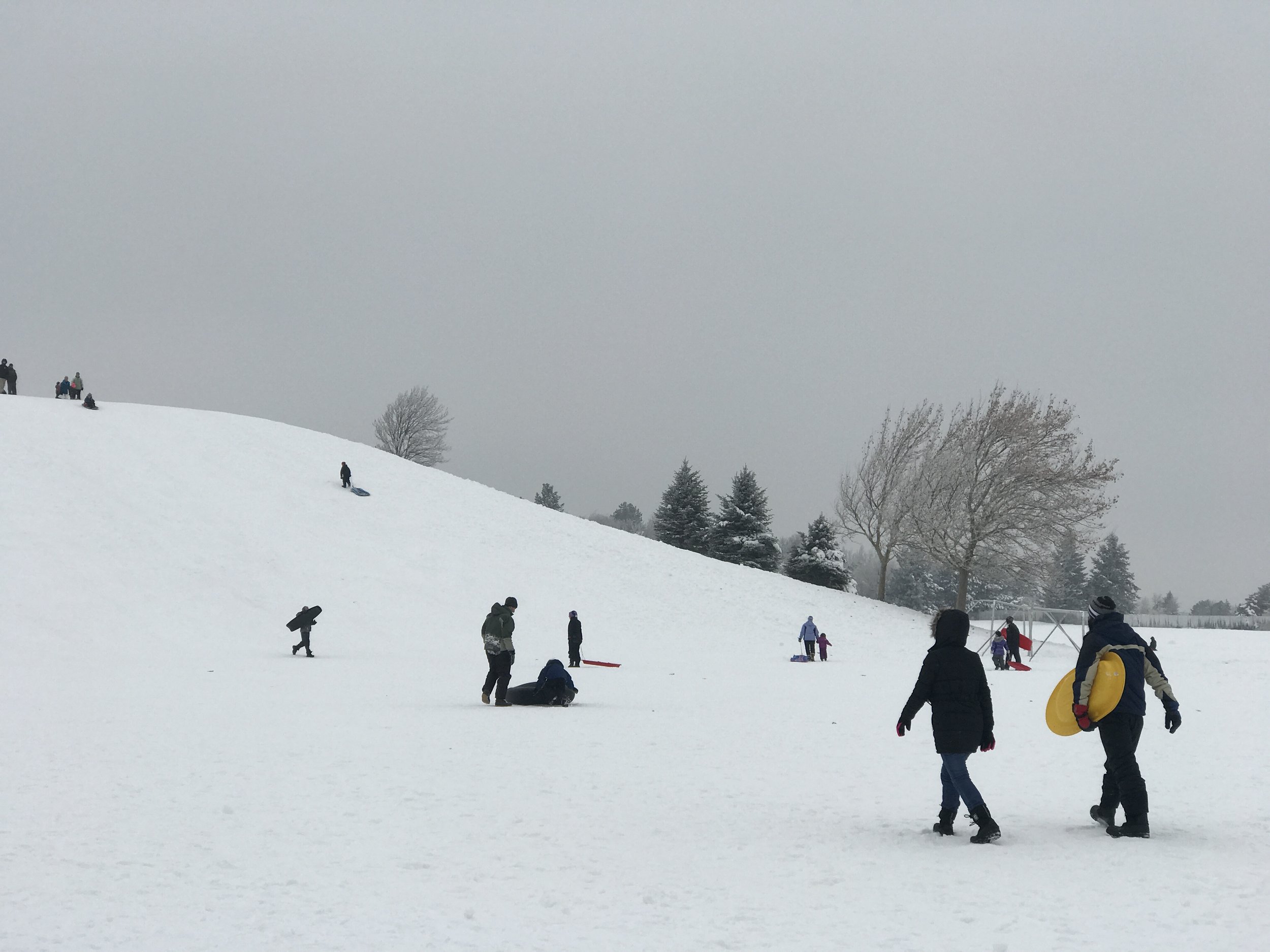 Sledding!