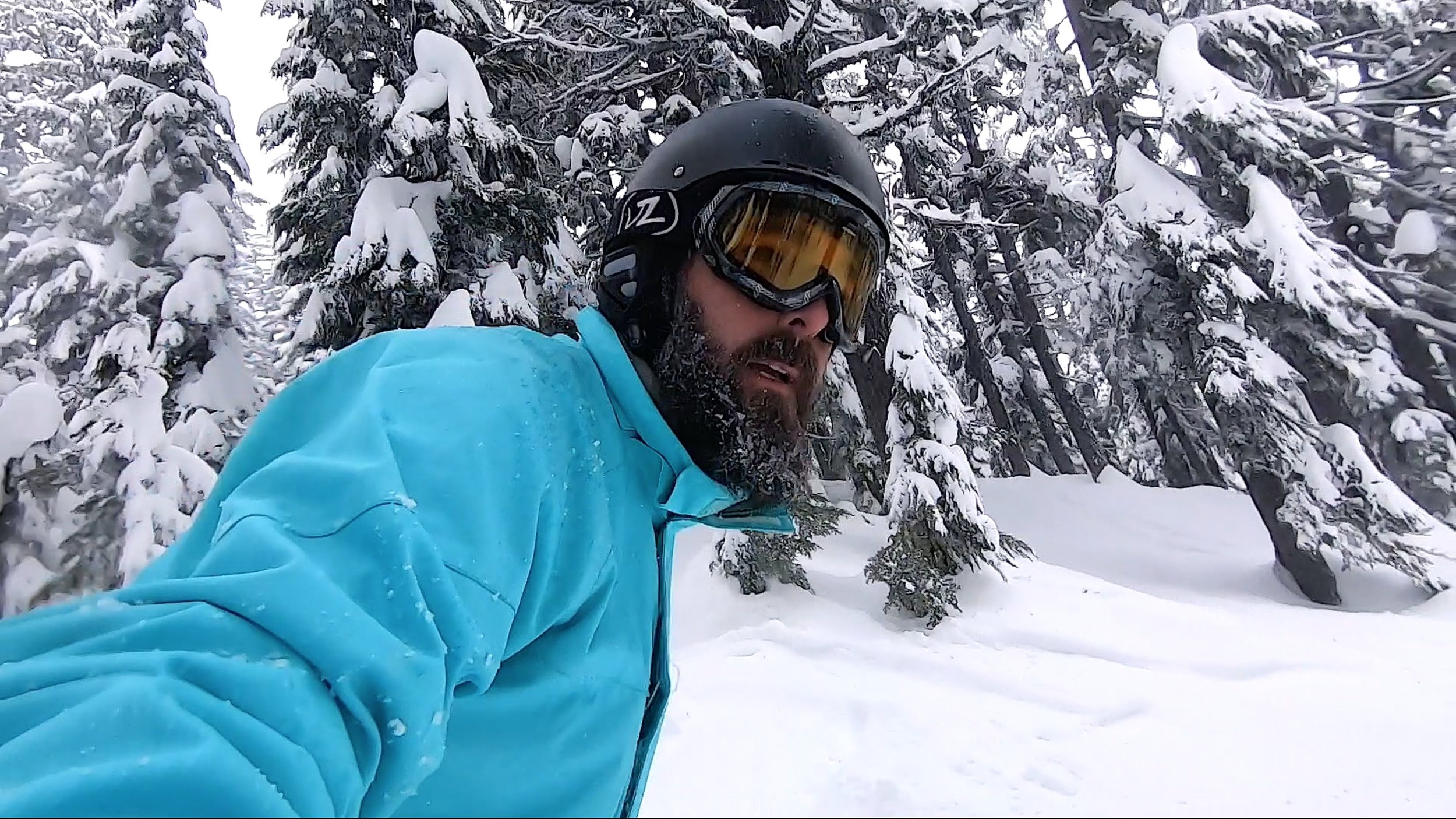 Screen Shot 2019-02-21 at 10.56.58 AM.jpg