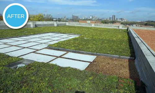 Wastewater Treatment Plant Roof