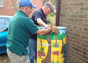 Rain barrel installation
