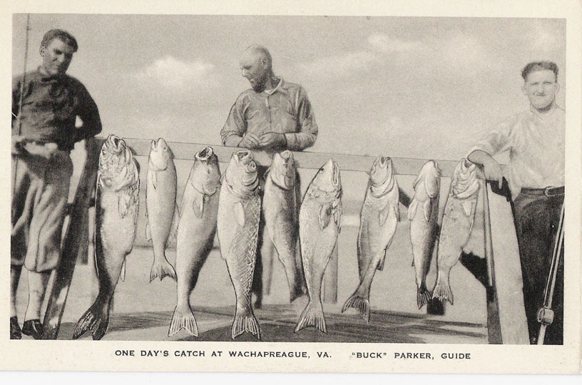 phc_pc_kcm_wachcatch2_1930.jpg