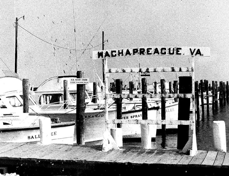 Wachapreague Marina