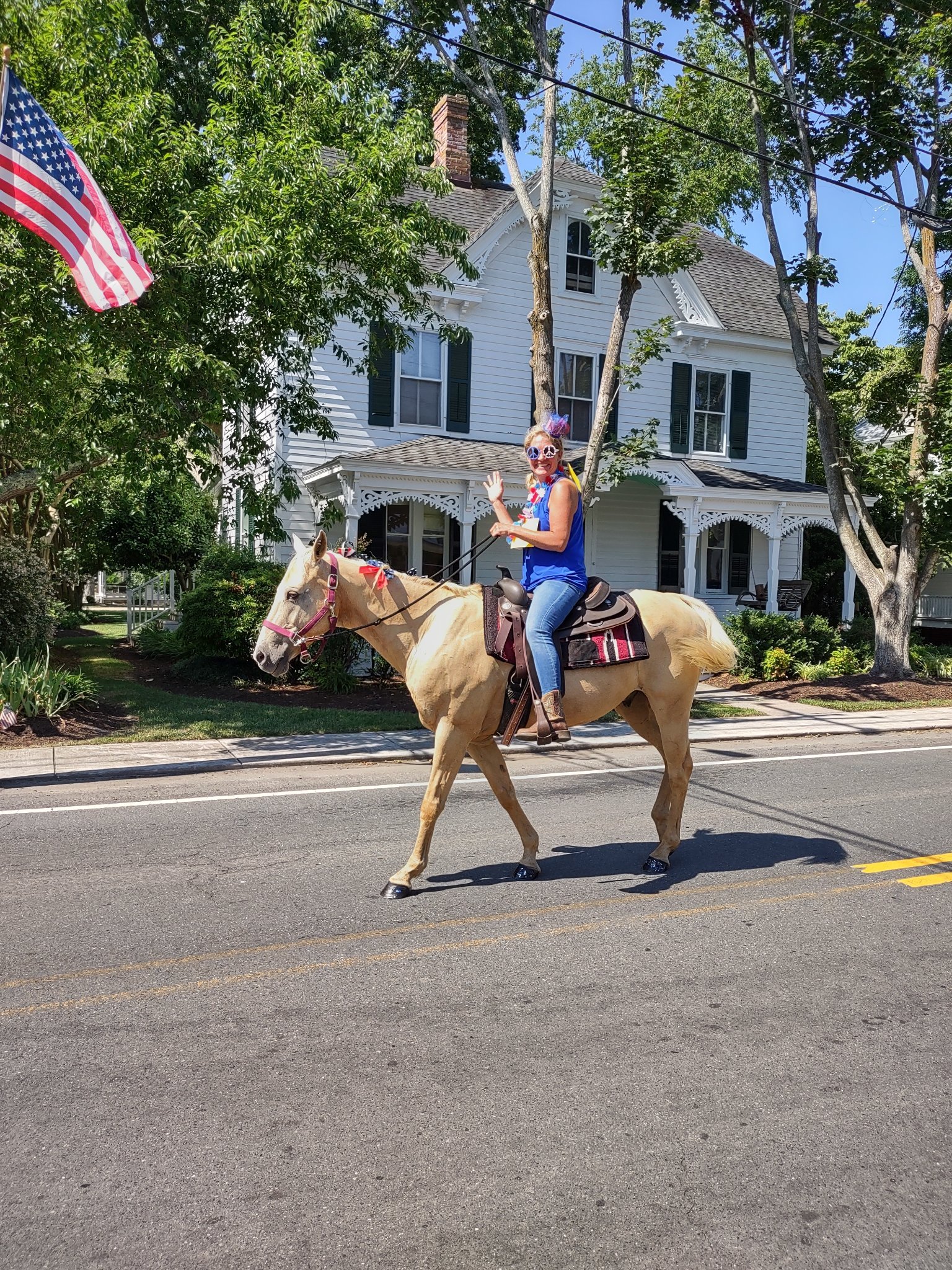 July 4th Light colored horse.jpg