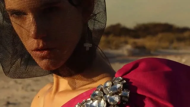 THE PHOENIX FROM THE FLAME