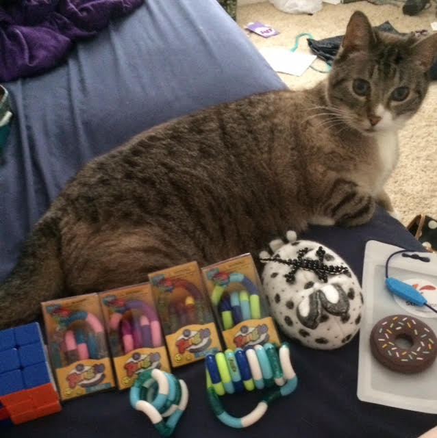 Photo description: A mostly grey Tabby cat sitting behind a set of stim toys, including a puzzles cube, 6 tangles, a beaded lizard and chewable necklaces.