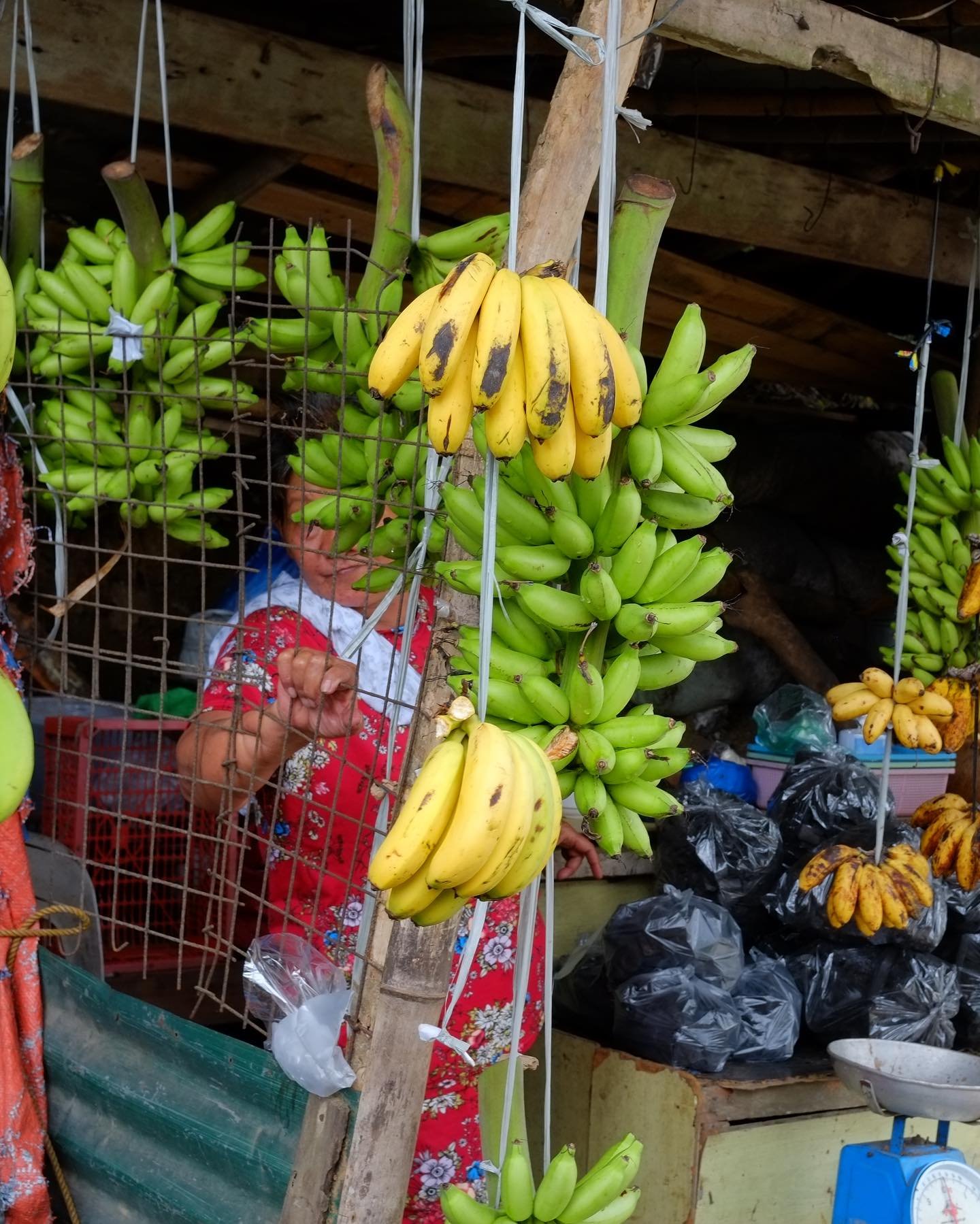 Travel dump 05: Miscellaneous Philippines sightings.

Tagaytay street fruit vendor
Baguio vegetable stall
Mt. Kalugong Eco Park - indigenous village children and locals
Christmas village at The Manor at Camp John Hay
Burnham Park Christmas village

S