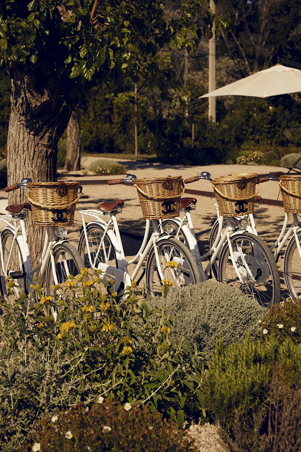 Chanel_Shot 11_2230.jpg