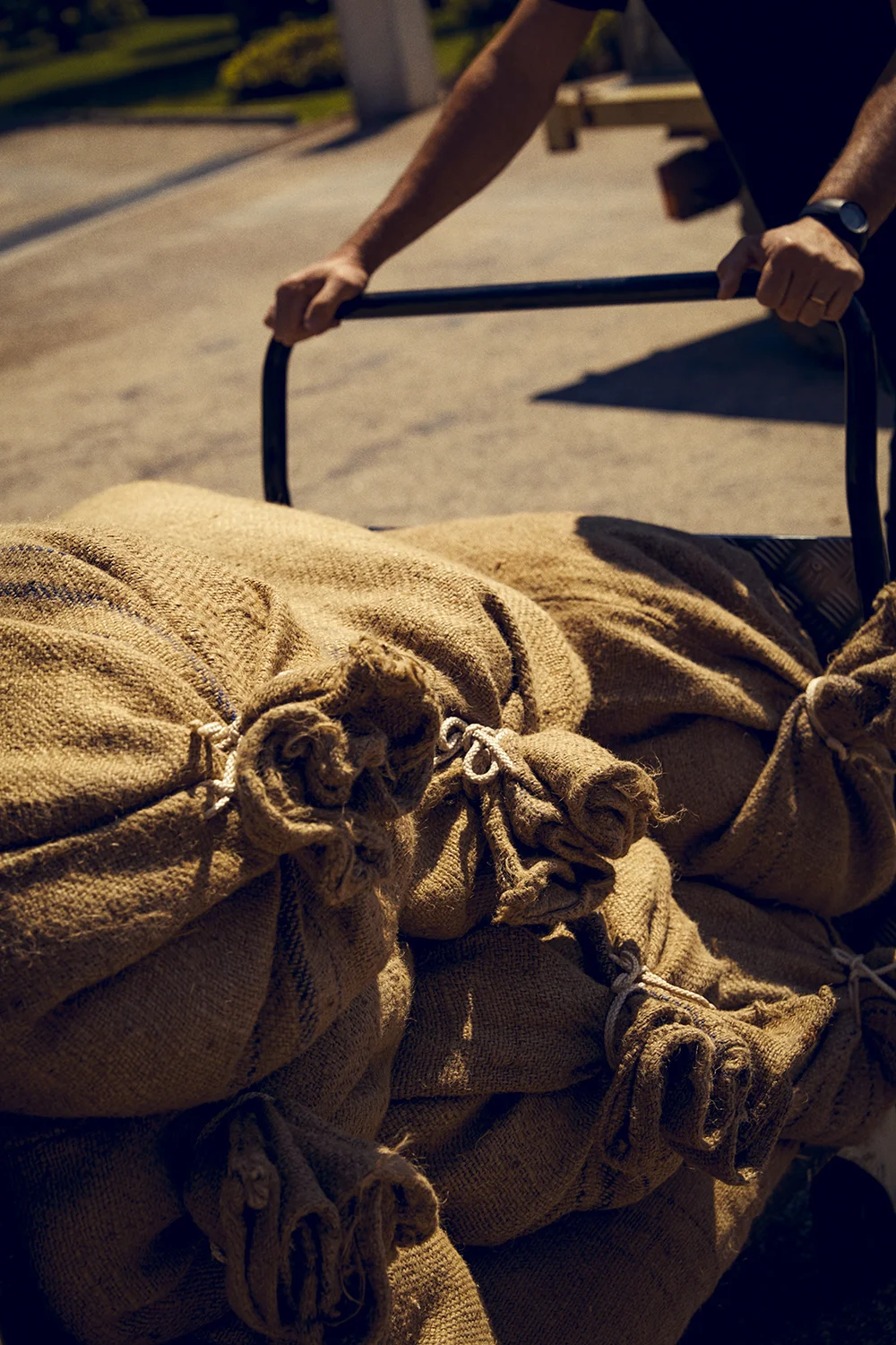 Chanel_Shot 13_2561.jpg