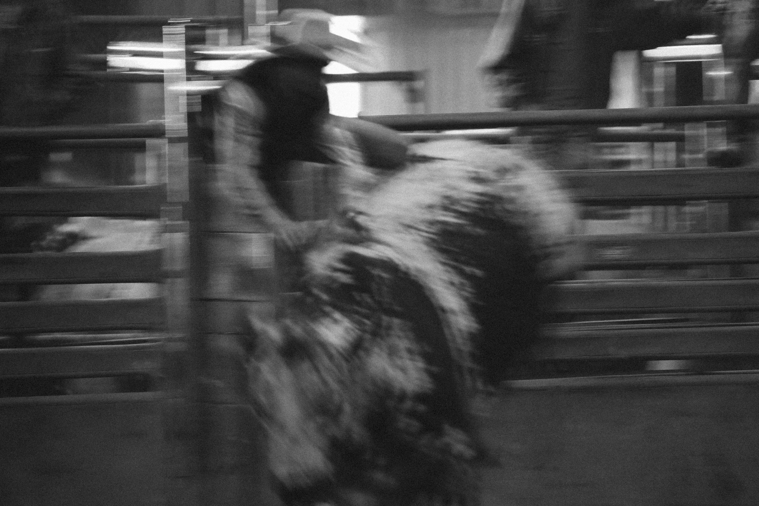 001.JPG
