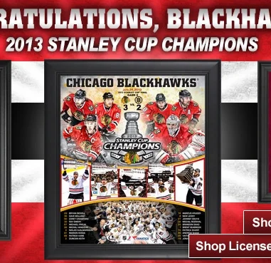  "2013 Stanley Cup Champions" campaign 