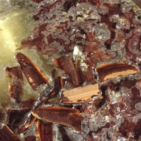 reishi_closeup.jpg