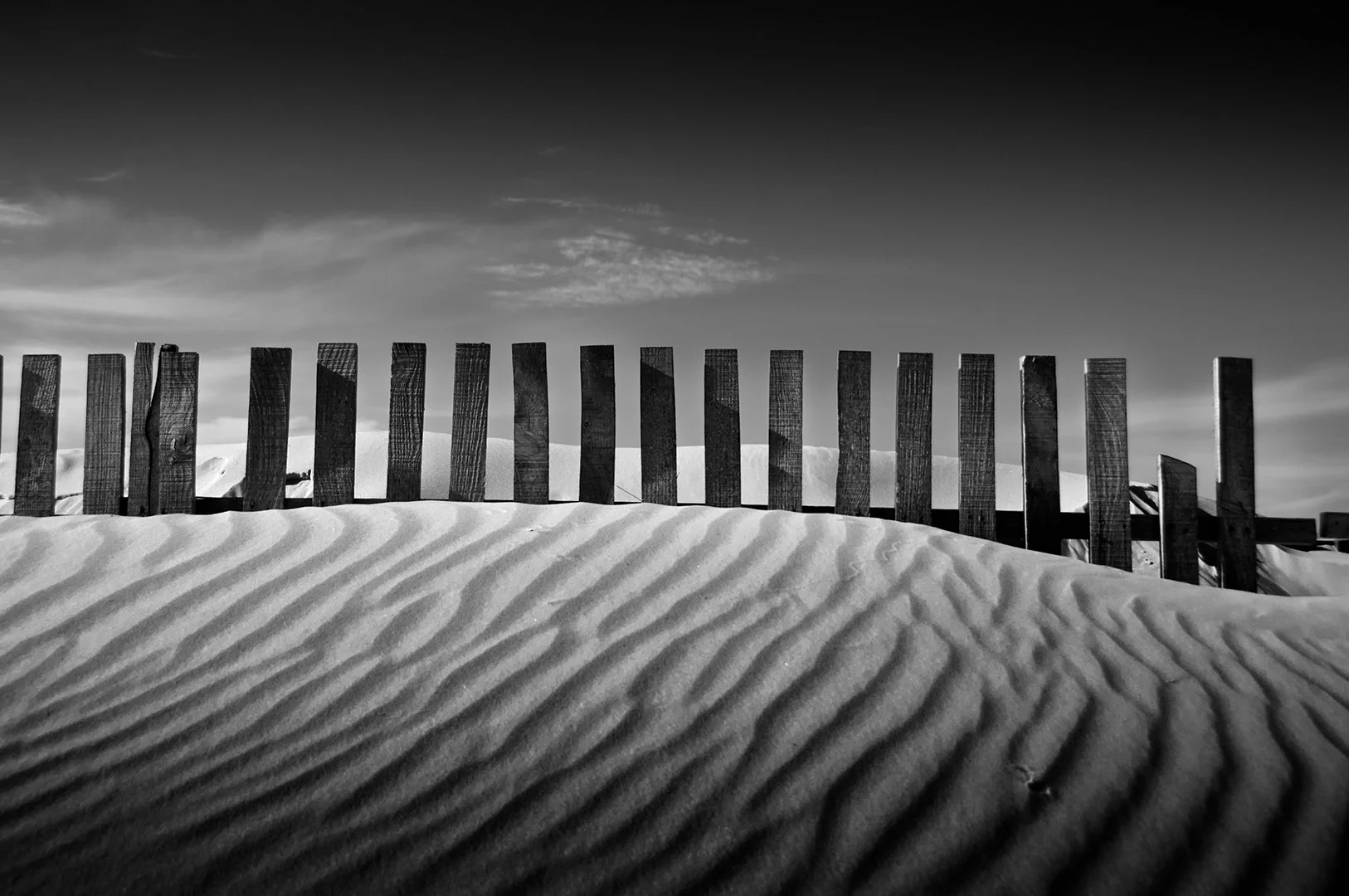 B&W Ramón  (3).jpeg