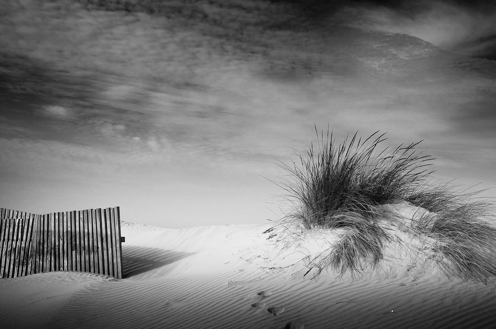 B&W Ramón  (4).jpeg