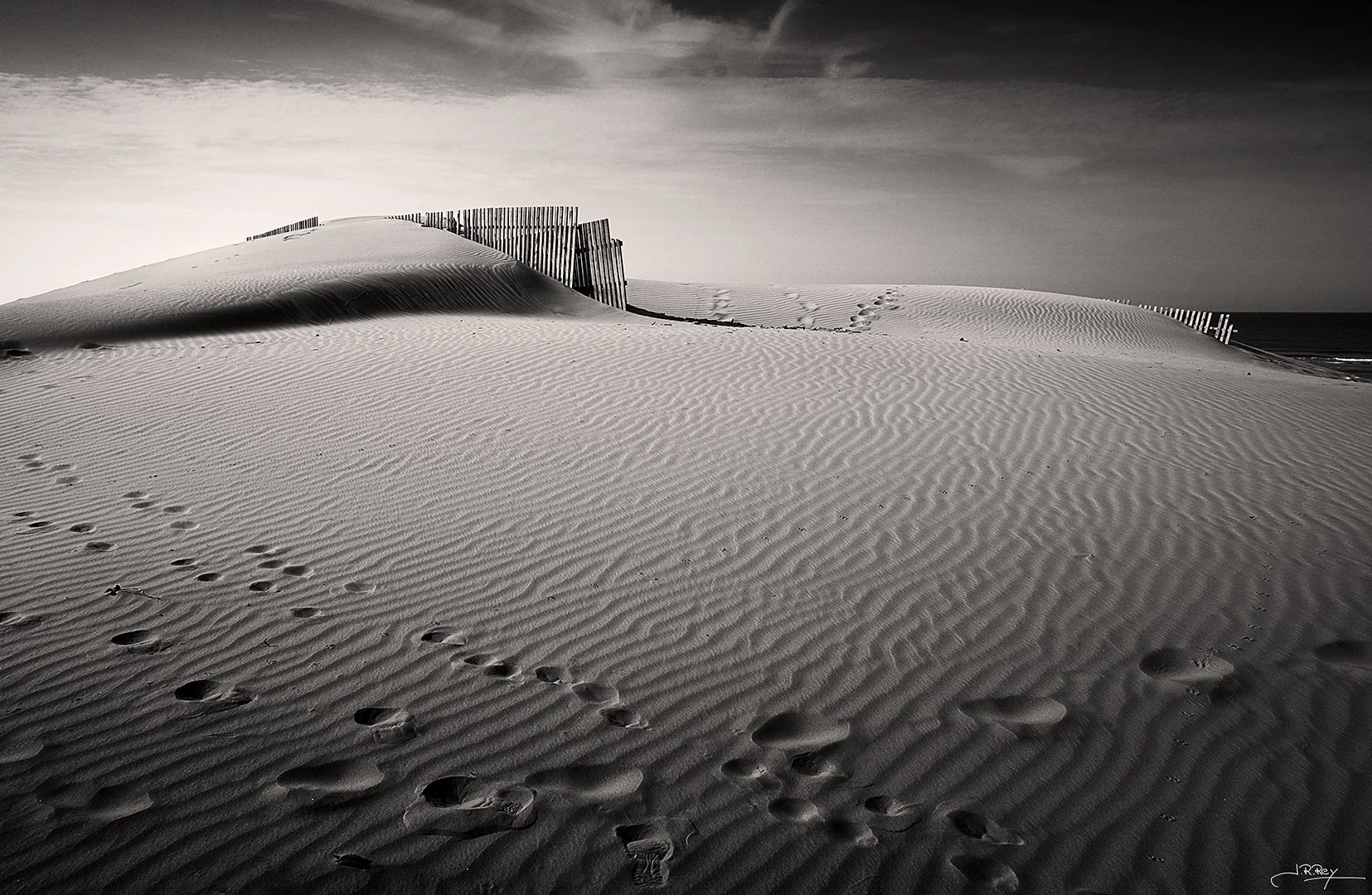 B&W Ramón  (5).jpeg