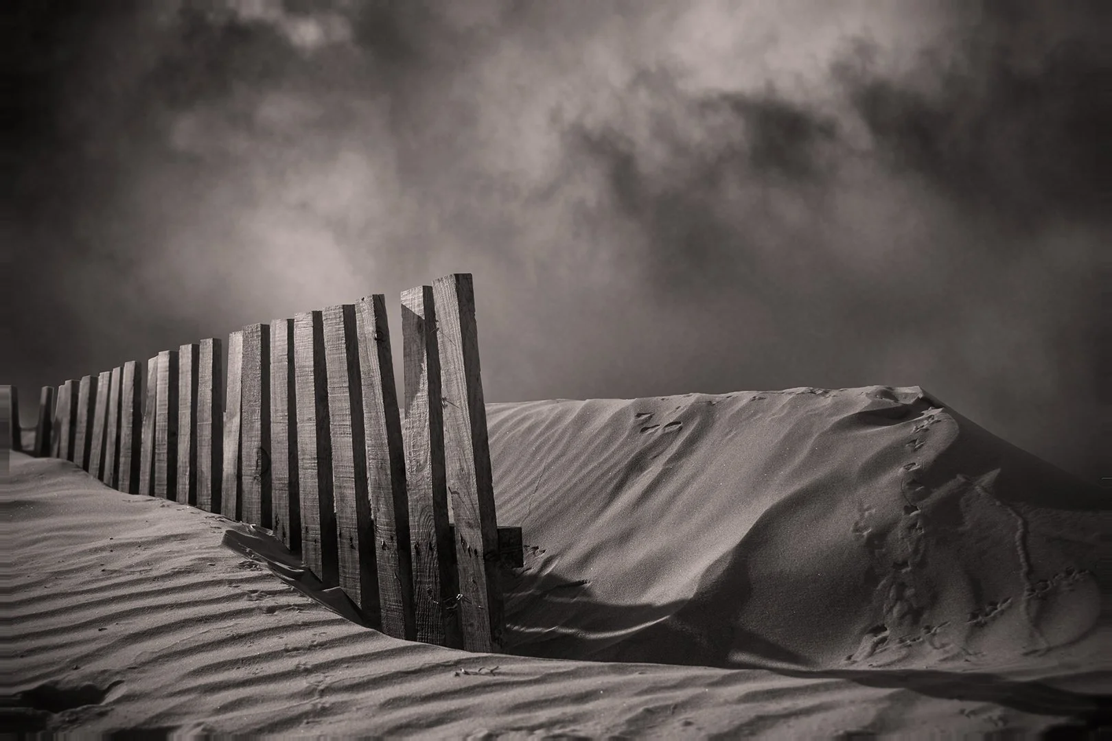 B&W Ramón  (7).jpeg