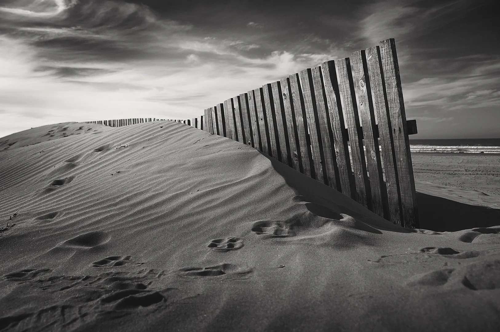 B&W Ramón  (12).jpeg