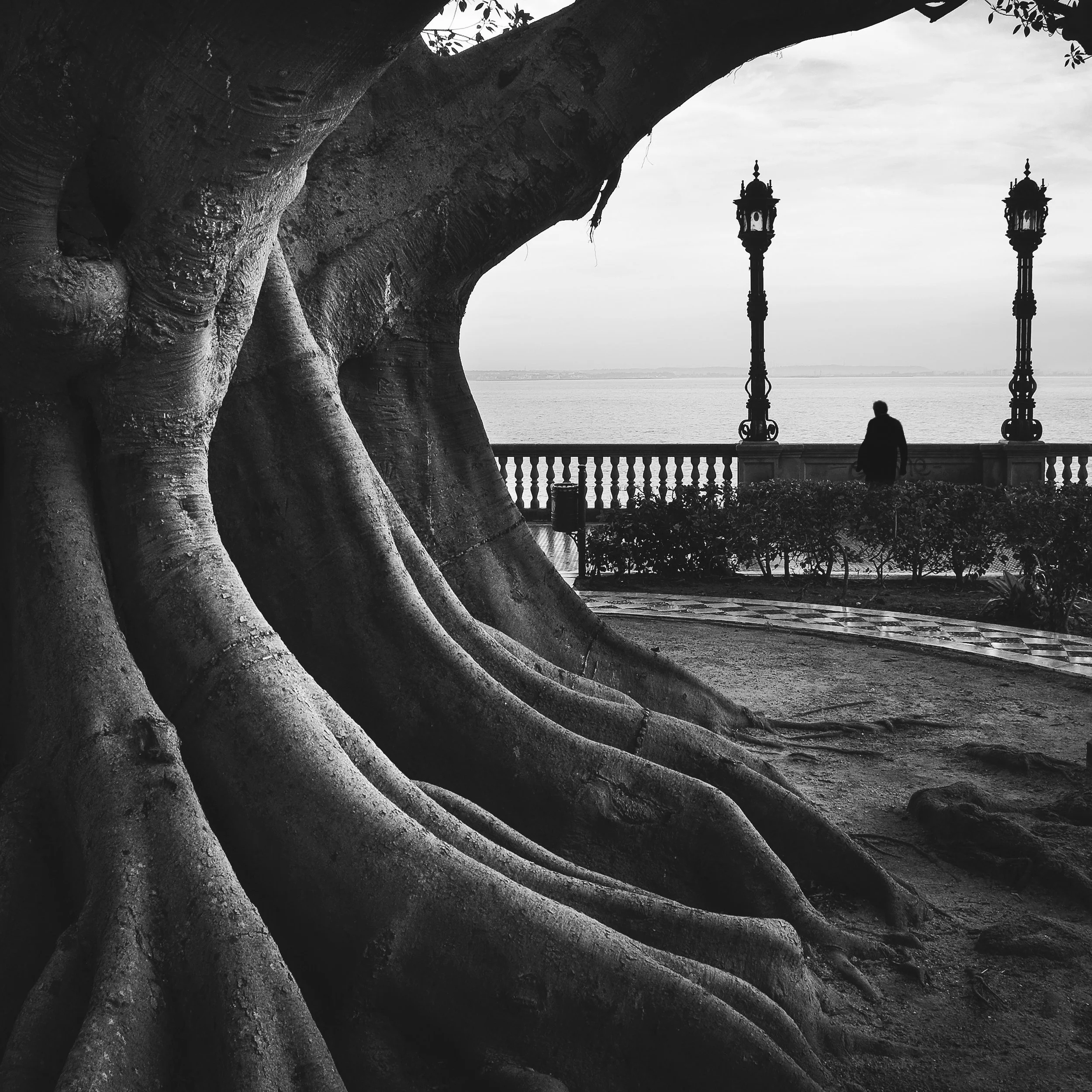 B&W Ramón  (16).jpeg