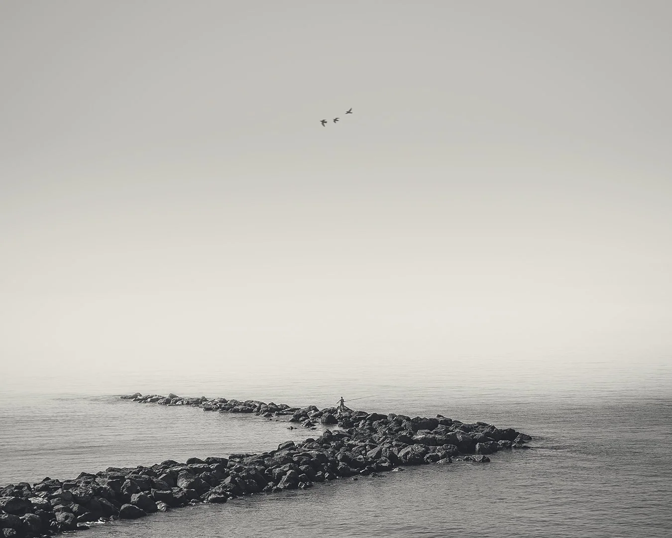 B&W Ramón  (22).jpeg