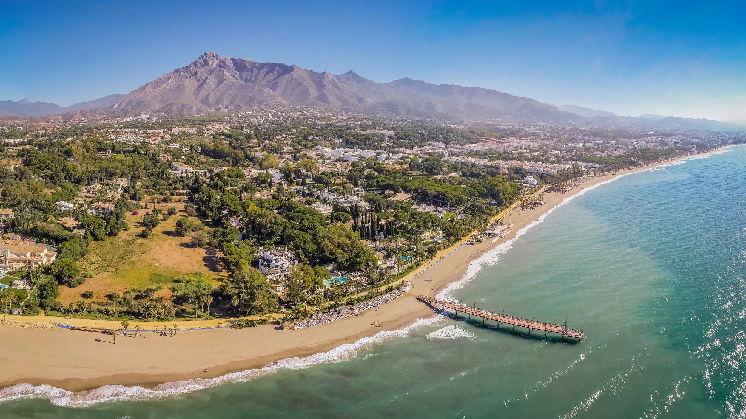 Golden Mile Bird.jpeg