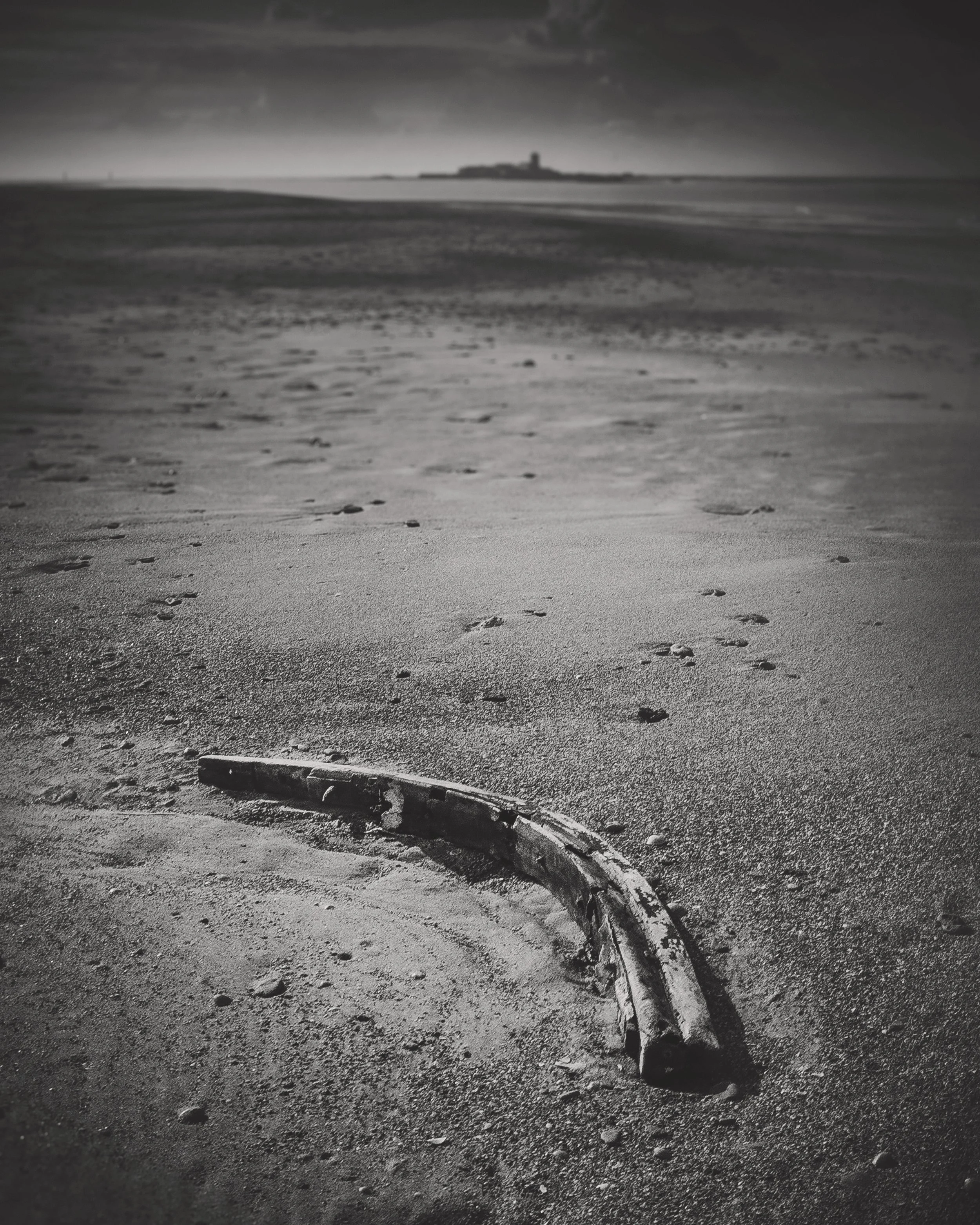 B&W Ramón  (10).jpg