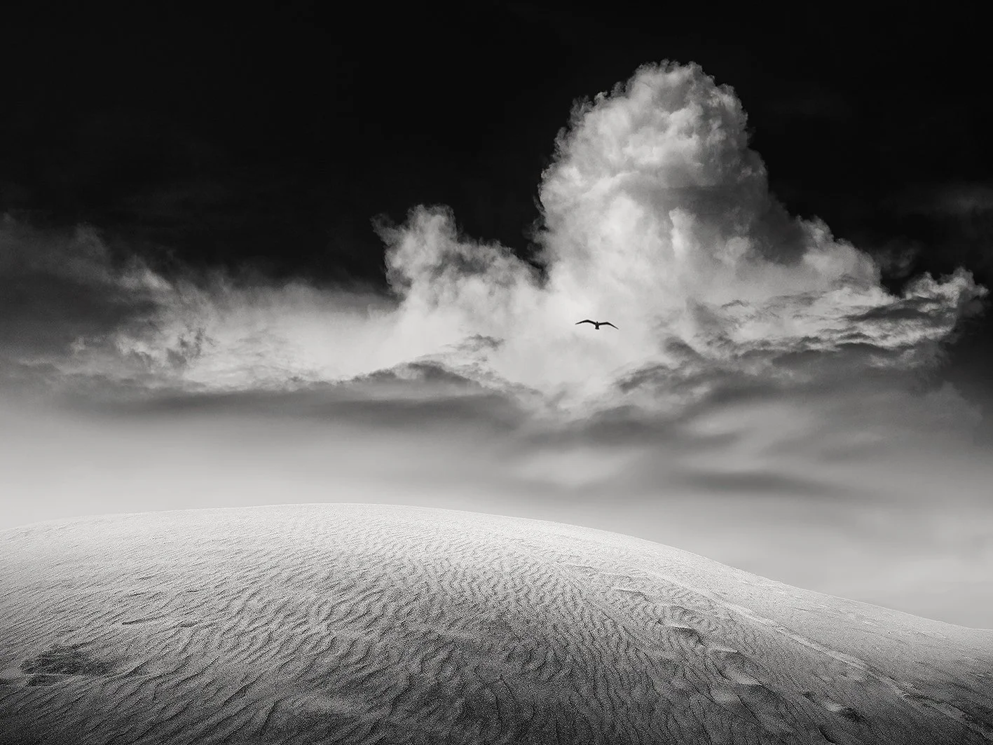 B&W Ramón  (26).jpg