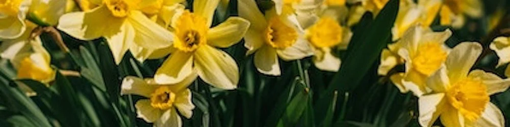 200+ Attend Inspiring and Informative Spring Renewal Event