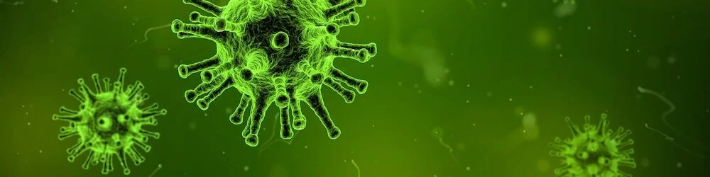 Bishop Rob Issues Pastoral Directive Regarding COVID-19