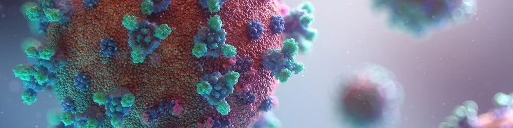 Bishop Rob’s Letter Regarding Stay at Home 2.0: Places of Worship