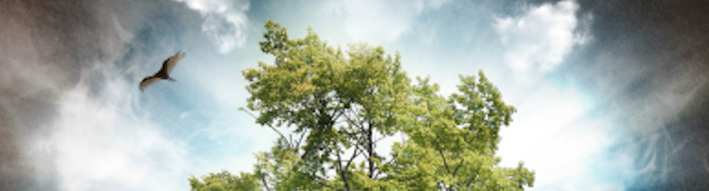 "With Sighs Too Deep For Words: Grace and Depression." A New Book By Bishop Rob