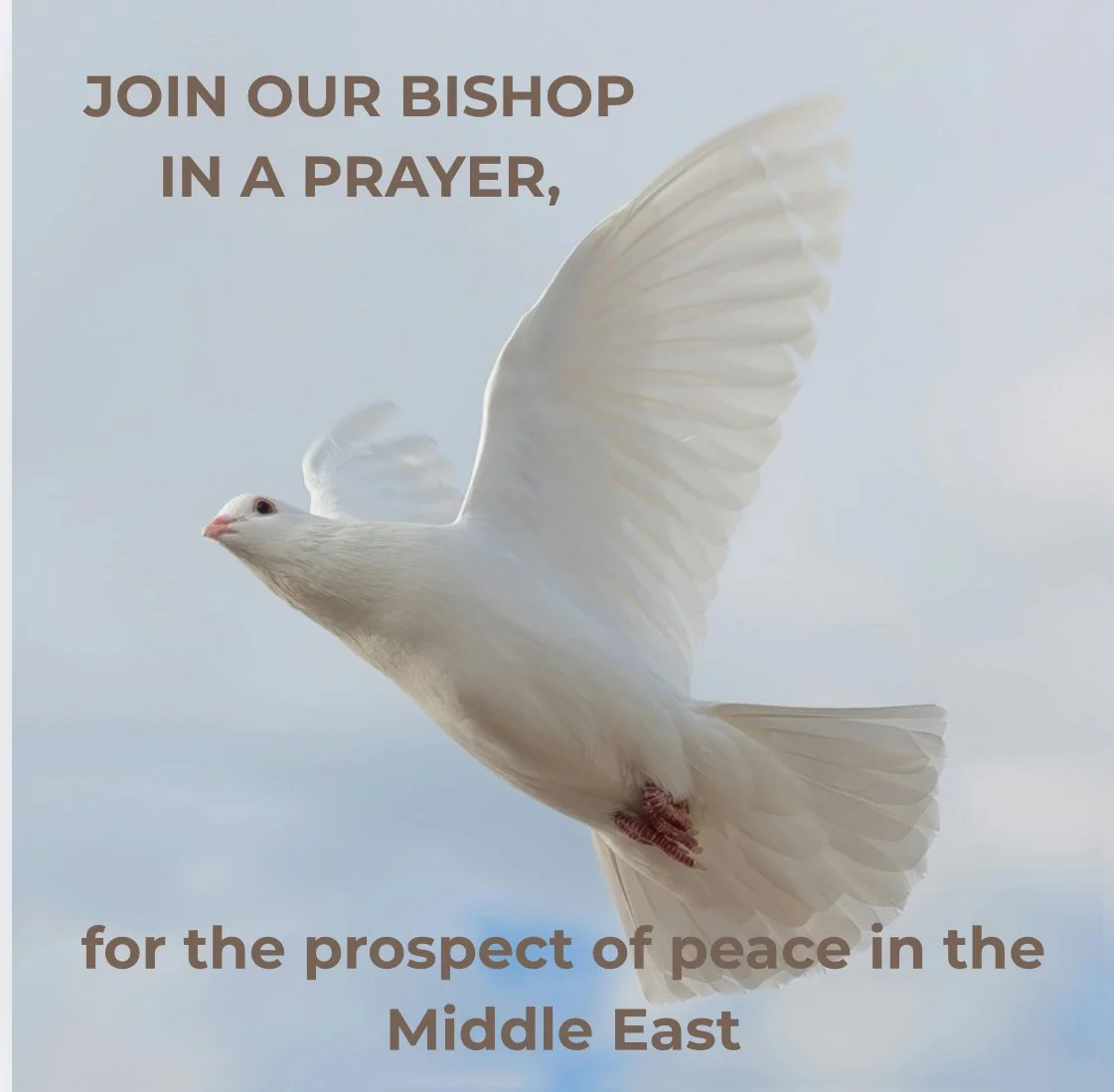 Bishop Rob's Prayer: for the possibility of peace in the Middle East - October 10, 2025