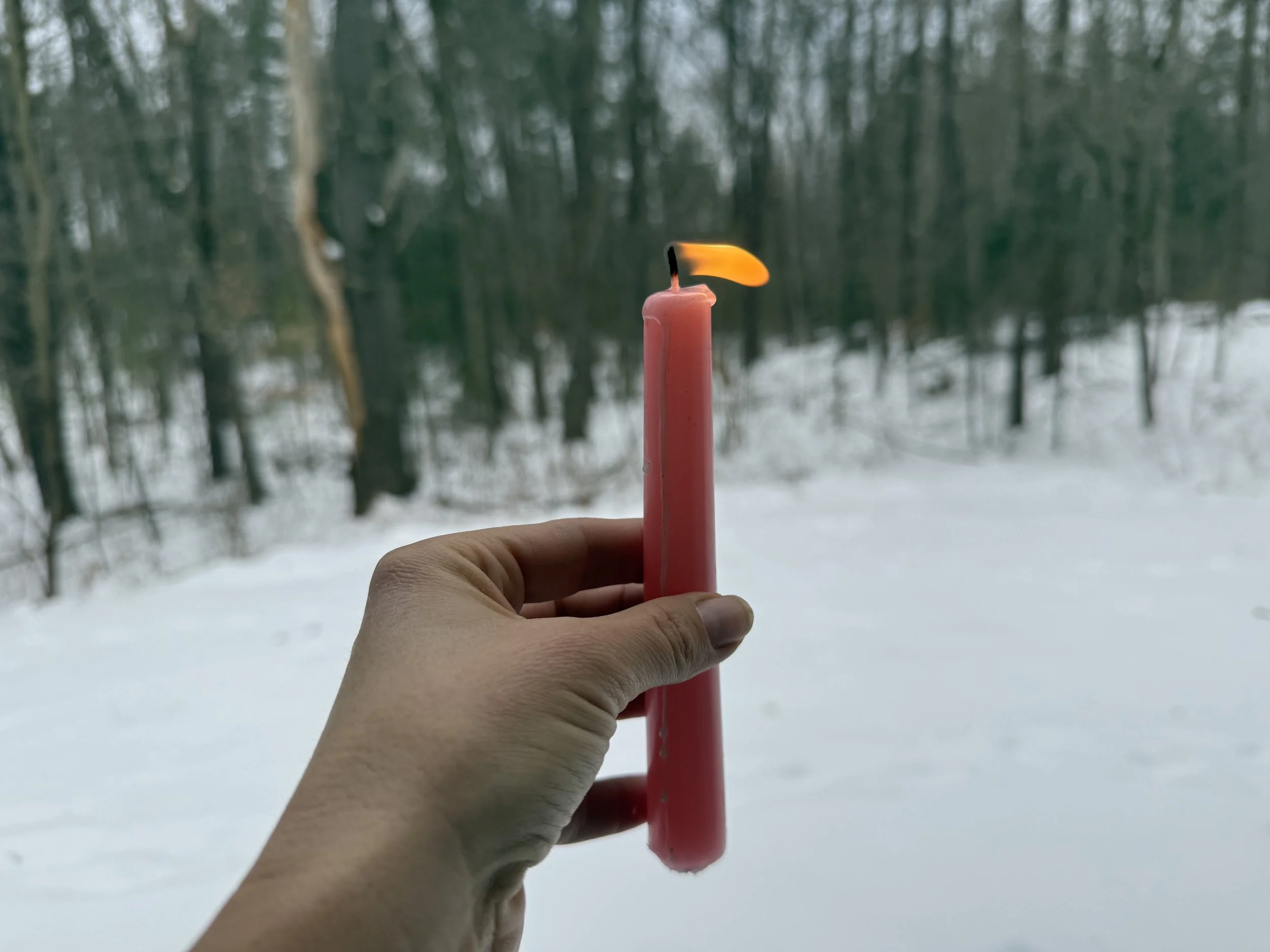 Statement from Episcopal and Lutheran Bishops in New England: Our Commitment to Peace and Justice in a Broken World