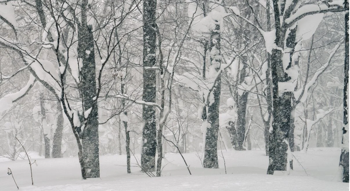 Lenten Message 2026 from Bishop Rob 