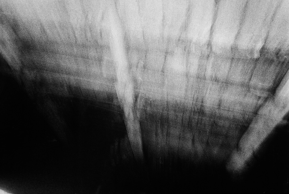  Wing  silver gelatin print, 1997 