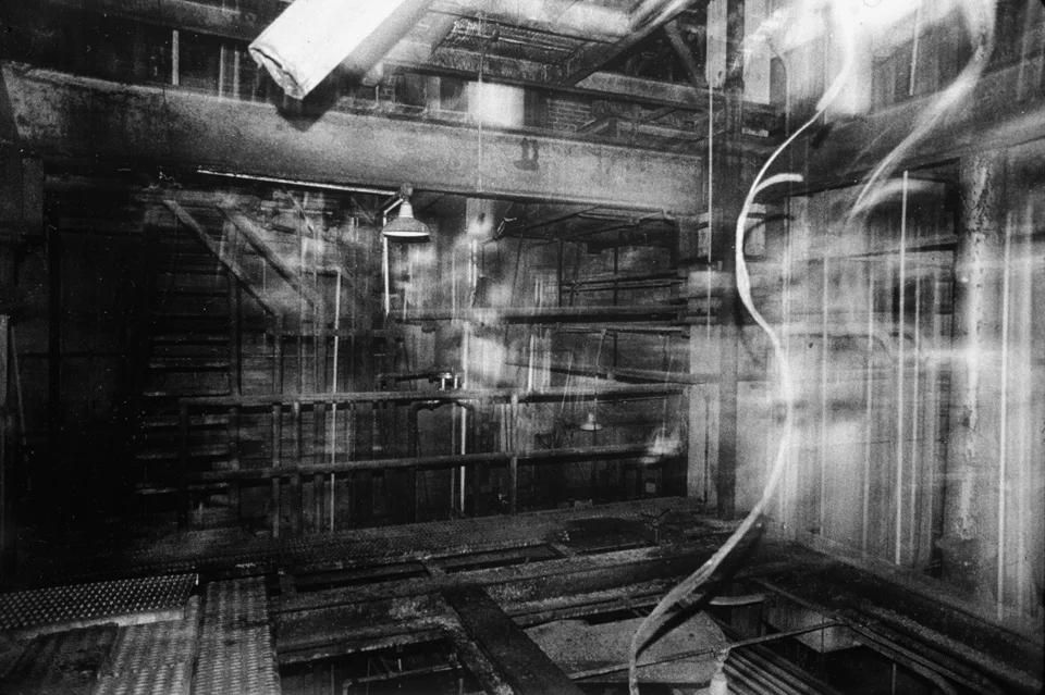  Snake  silver gelatin print, 1997 