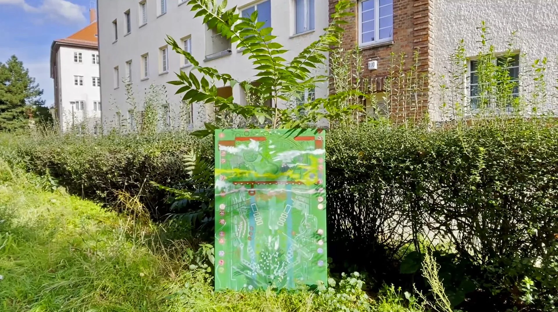 Gottlieb in situ