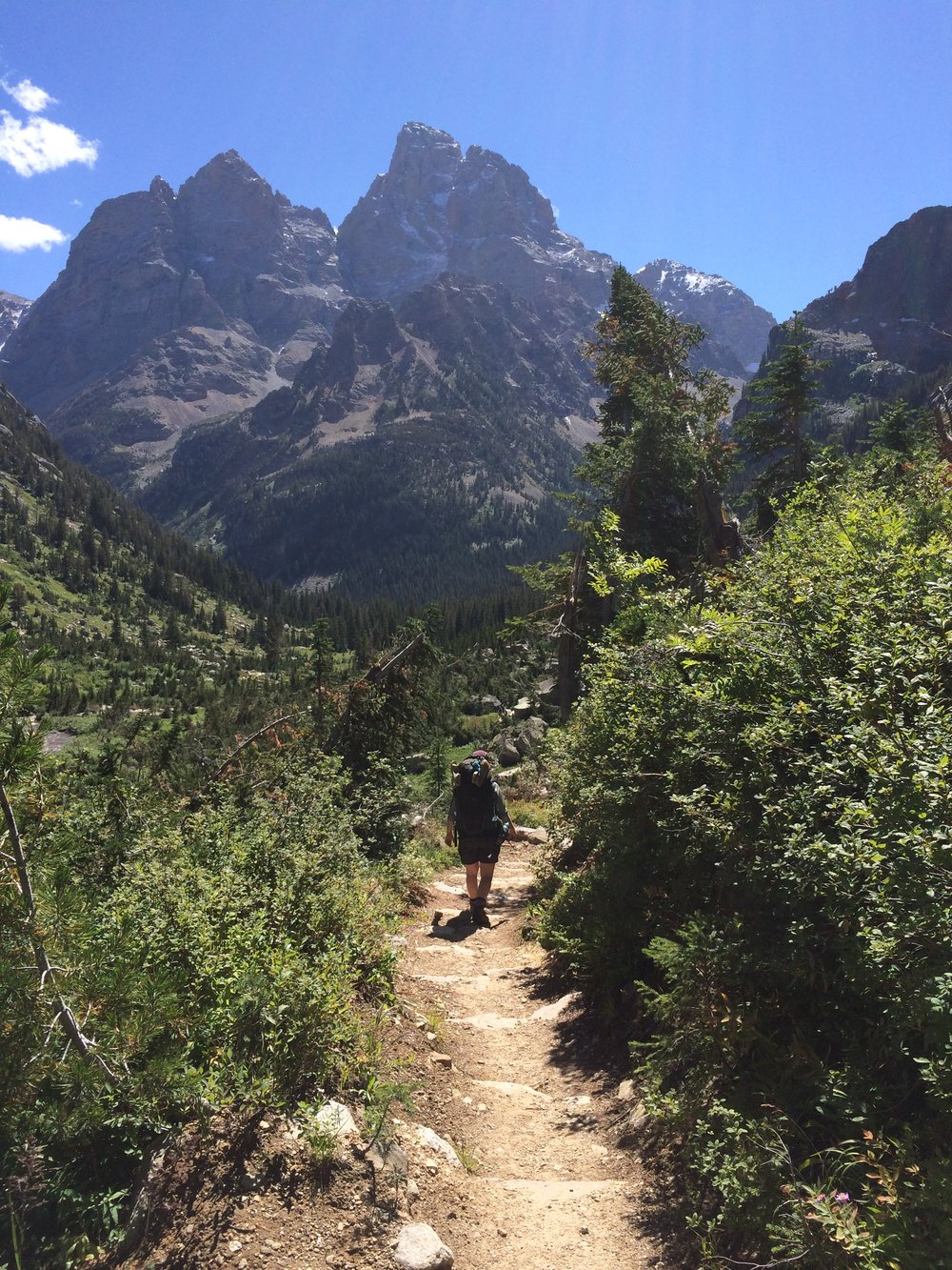 Grand+Tetons+2014+105.jpeg