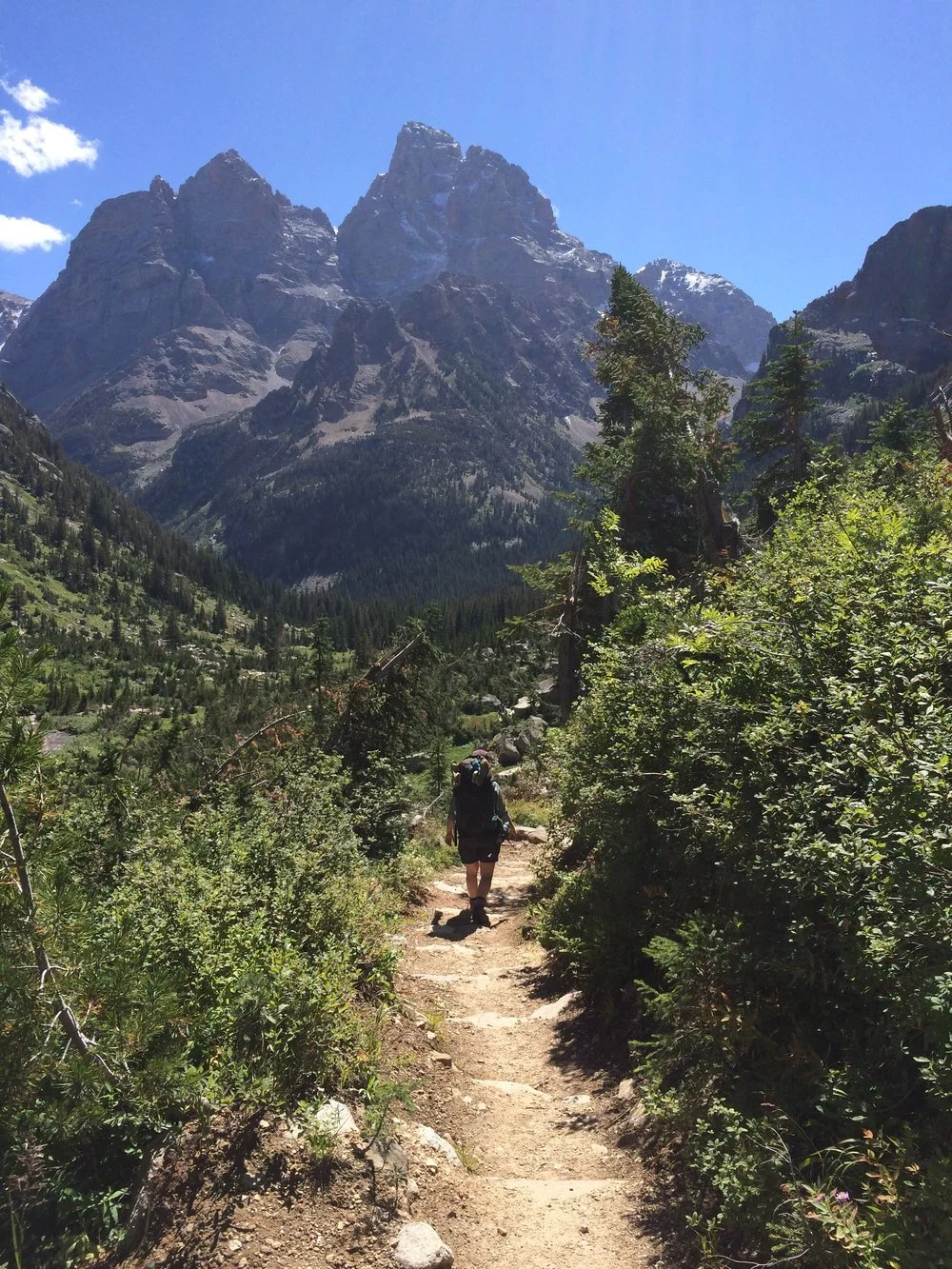 Grand+Tetons+2014+105.jpeg